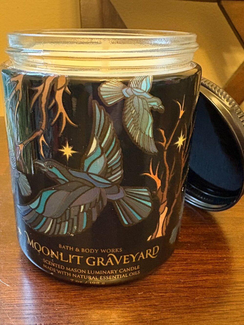 Bath & Body Works Moonlit Graveyard Single Wick Scented Candle